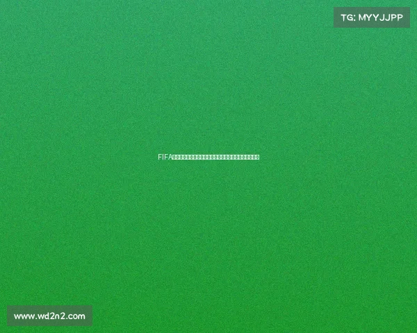 FIFA世界杯卡塔尔赛事回顾与全球足球盛宴精彩全景解析之旅
